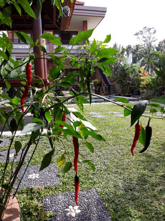 אובוד Umah Dangin Guest House מראה חיצוני תמונה